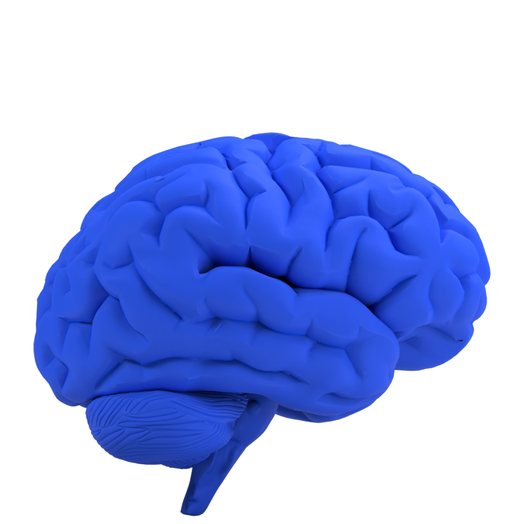DHI Logo Brain